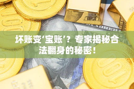 北京坏账变‘宝账’？专家揭秘合法翻身的秘密！