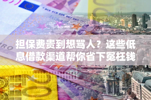 北京担保费贵到想骂人？这些低息借款渠道帮你省下冤枉钱