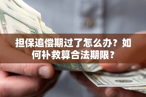 北京担保追偿期过了怎么办？如何补救算合法期限？