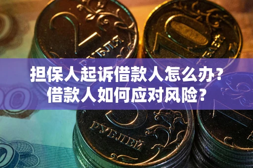 北京担保人起诉借款人怎么办？借款人如何应对风险？