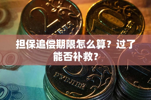北京担保追偿期限怎么算？过了能否补救？